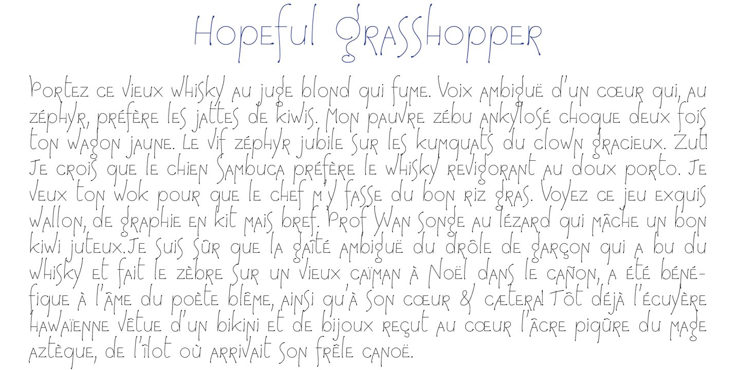 détail Hopeful Grasshoper